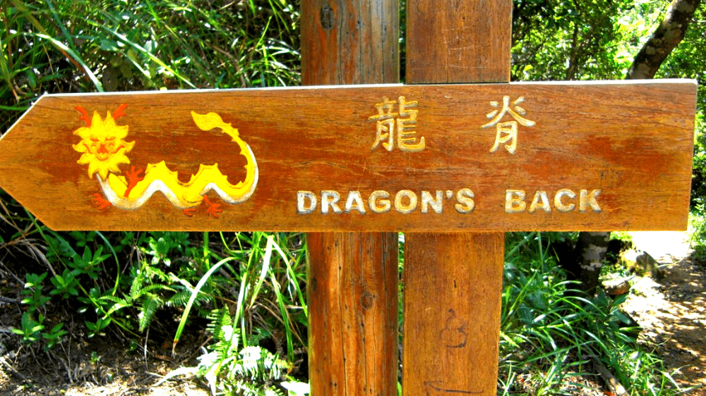 dragonsback9