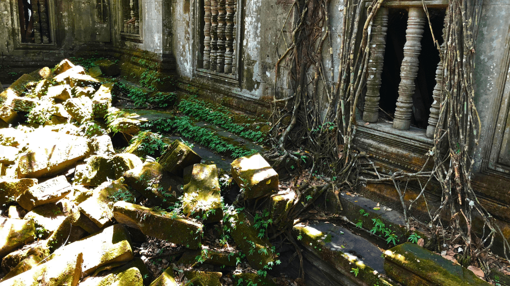 benmealea7