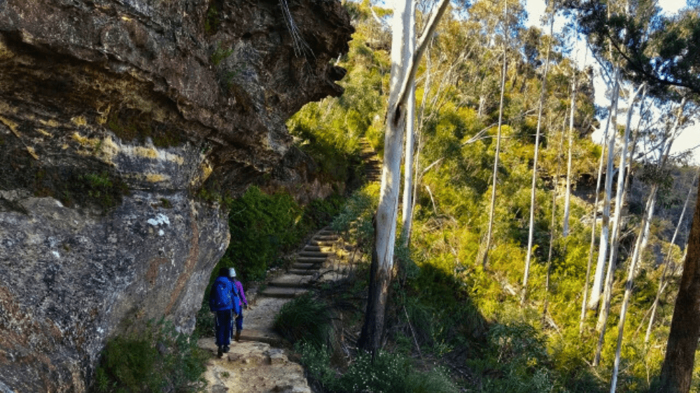 bluemountains9