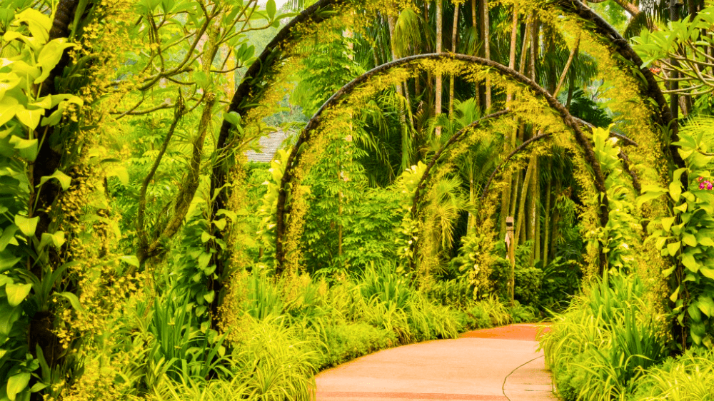 singaporebotanical