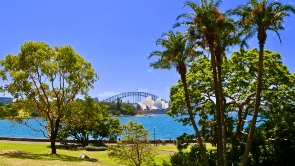 sydney8